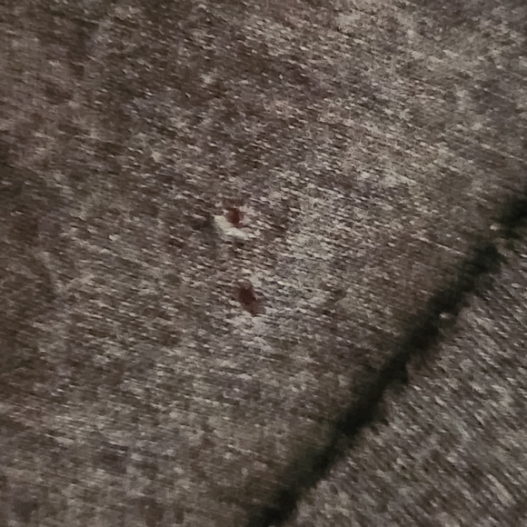 Wildfox “Keep It Simple Sister” Rolled Hem V-Neck Tee  Size Large – Made in LA - Picture 9 of 10